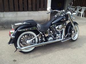 Combien de Softail sur le forum Passion-Harley - Page 9 Mini_526215mondeluxe