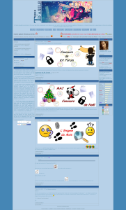 [FINI][Concours Forum] votes Concours de Kit Forum Noël 2013 Mini_5572582portail