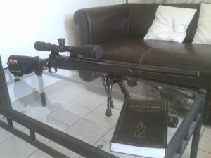 SAVAGE 10 FCP MCMILLAN Mini_67631620141030144741