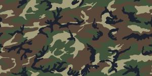 Jeep Willys 2D Mini_692852Camouflage01vert