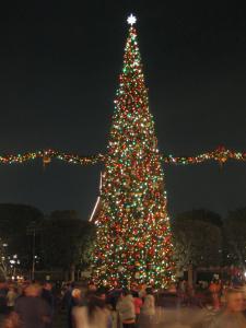 [Disneyland Resort] Christmas Season 2013 (du 12 novembre 2013 au 6 janvier 2014) Mini_802324IMG7544