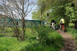 Balade de l'Arbre de mai (quater) : Luxembourg à Aachen par les Pistes cyclables et la Vennbahn [mai 2015] saison 10 •Bƒ - Page 3 Mini_823317Arbremai91