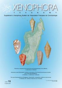 2018 - 10 / XENOPHORA N°161 et TAXONOMY N°18 Mini_984866xenotaxo19