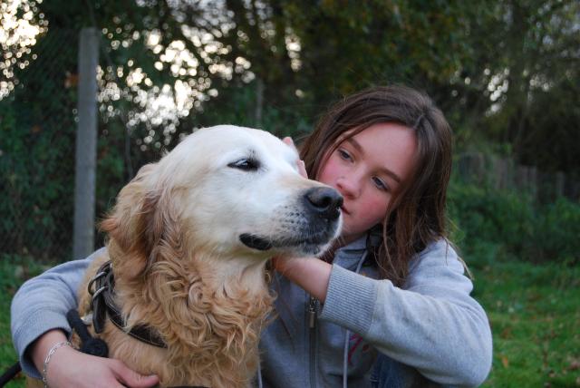 FOULY (Golden retriever) - Page 6 416873DSC_0208