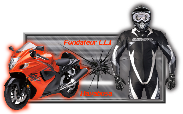 petit hommage 48096banniere_hayabusa