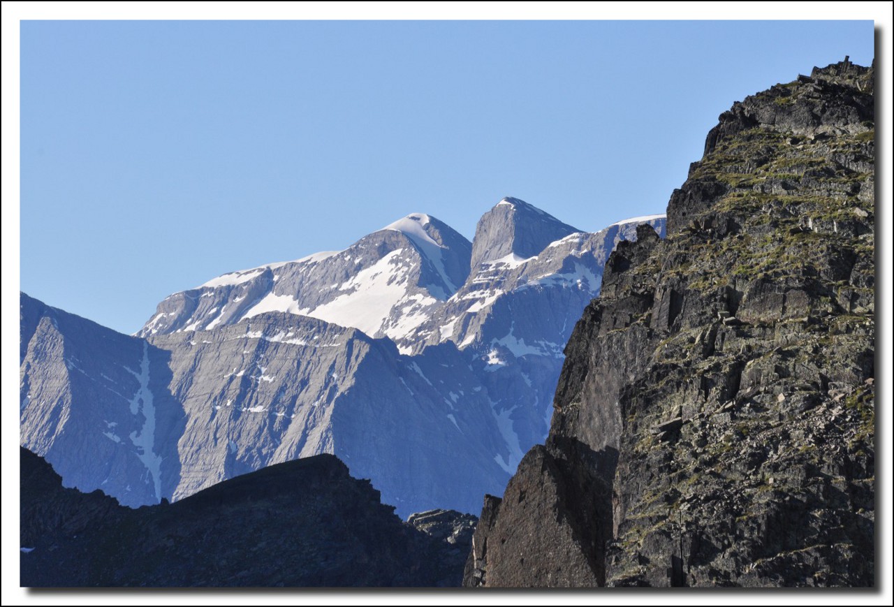 Une vie pyrénéenne de labrit des pyrénées - Page 6 111596her0150