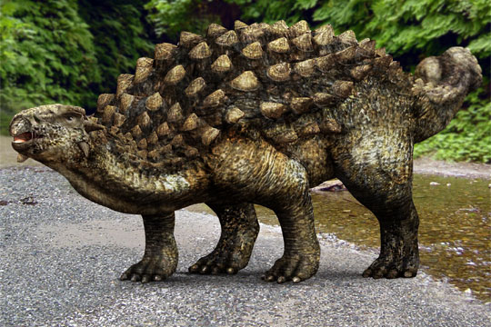 Idée de fdd 120127ankylosaurus