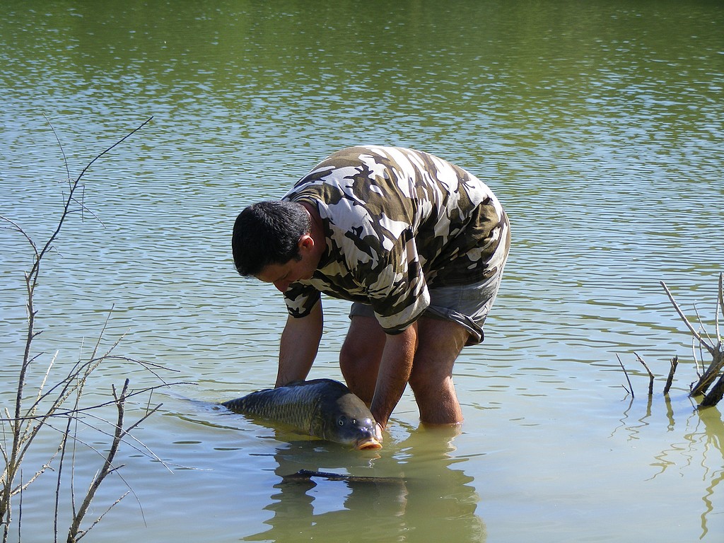 Le lauraguais ça à du bon ! 120151207