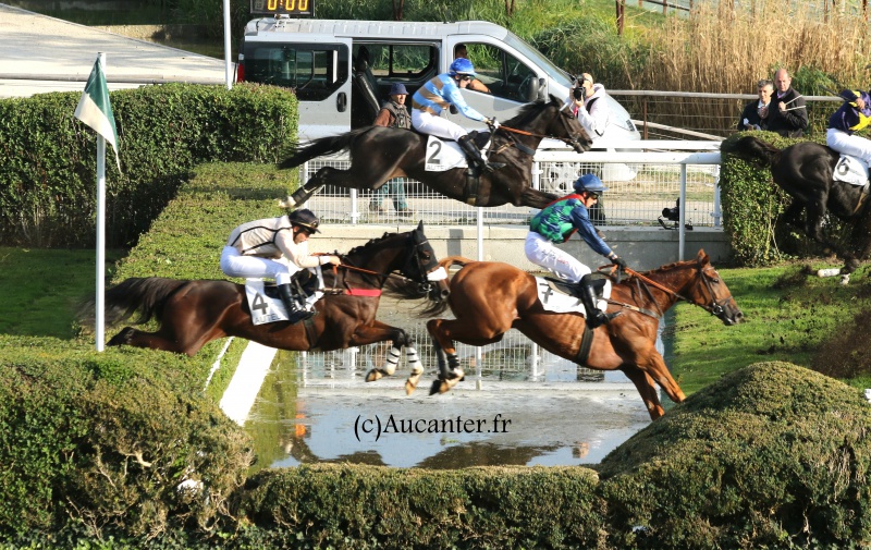 Photos Auteuil 9-10-2016 1291805J6A8031