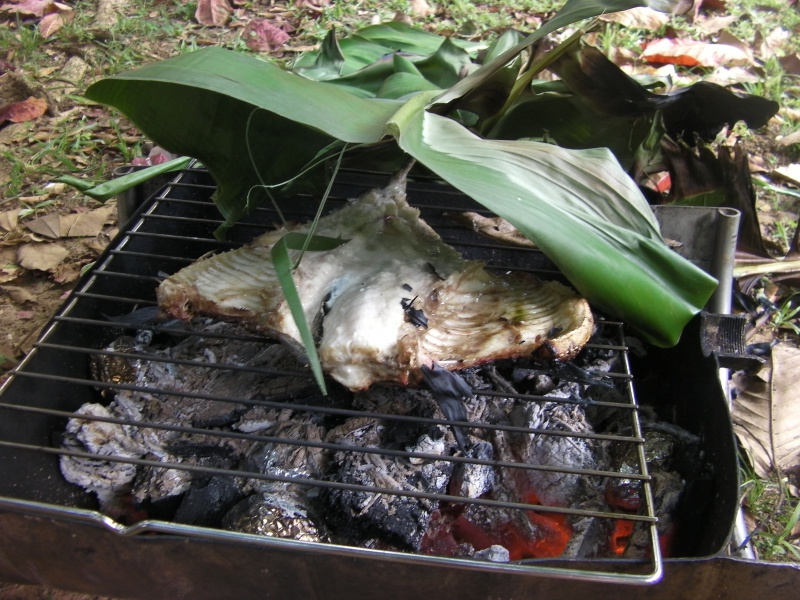 Guyane française 132852SANY0410