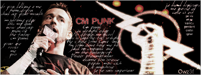 Banniere CM Punk 133395CMPUNK