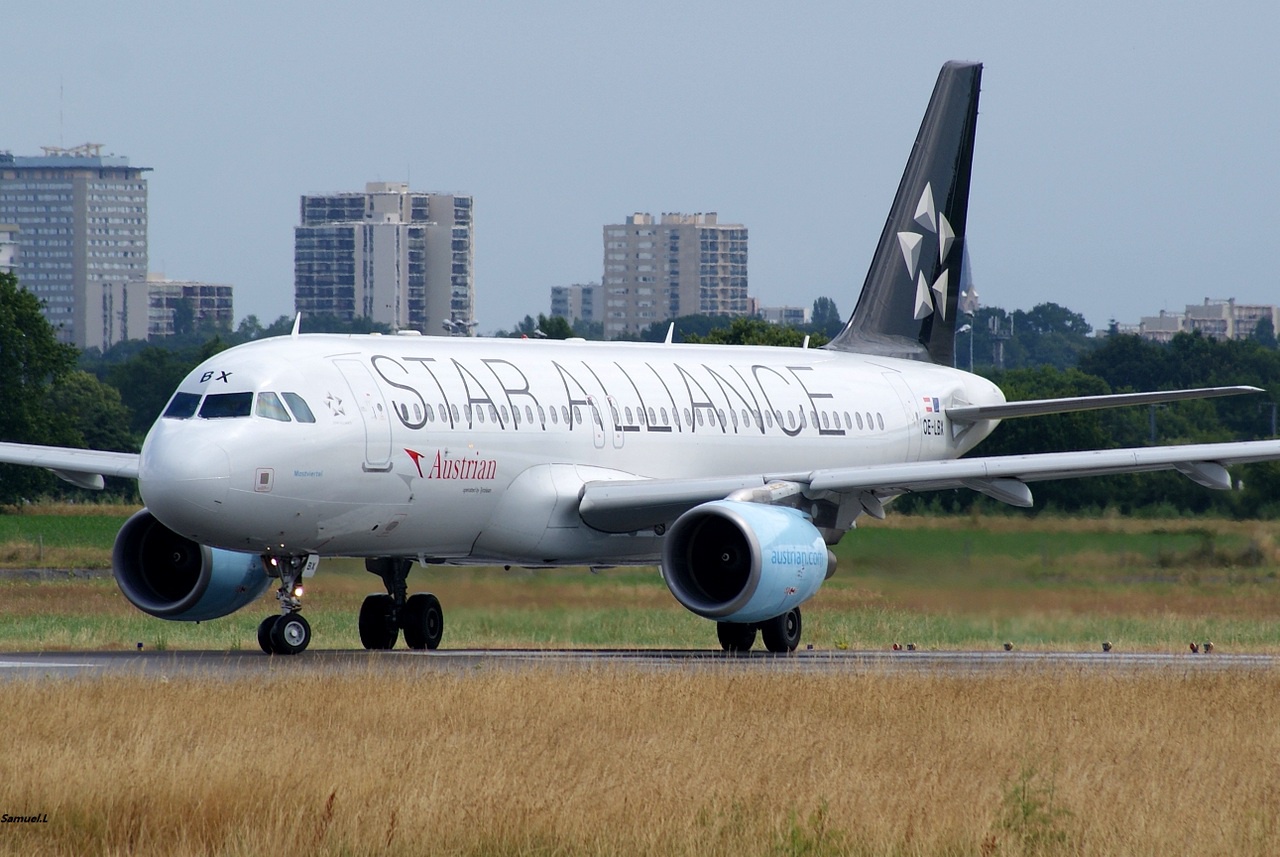 A 320 Austrian / Star Alliance OE LBX + divers du 27 Juin 2014 - Page 3 136197DSC06095