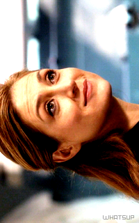 Sasha Alexander - 200*320 141593SashaA4