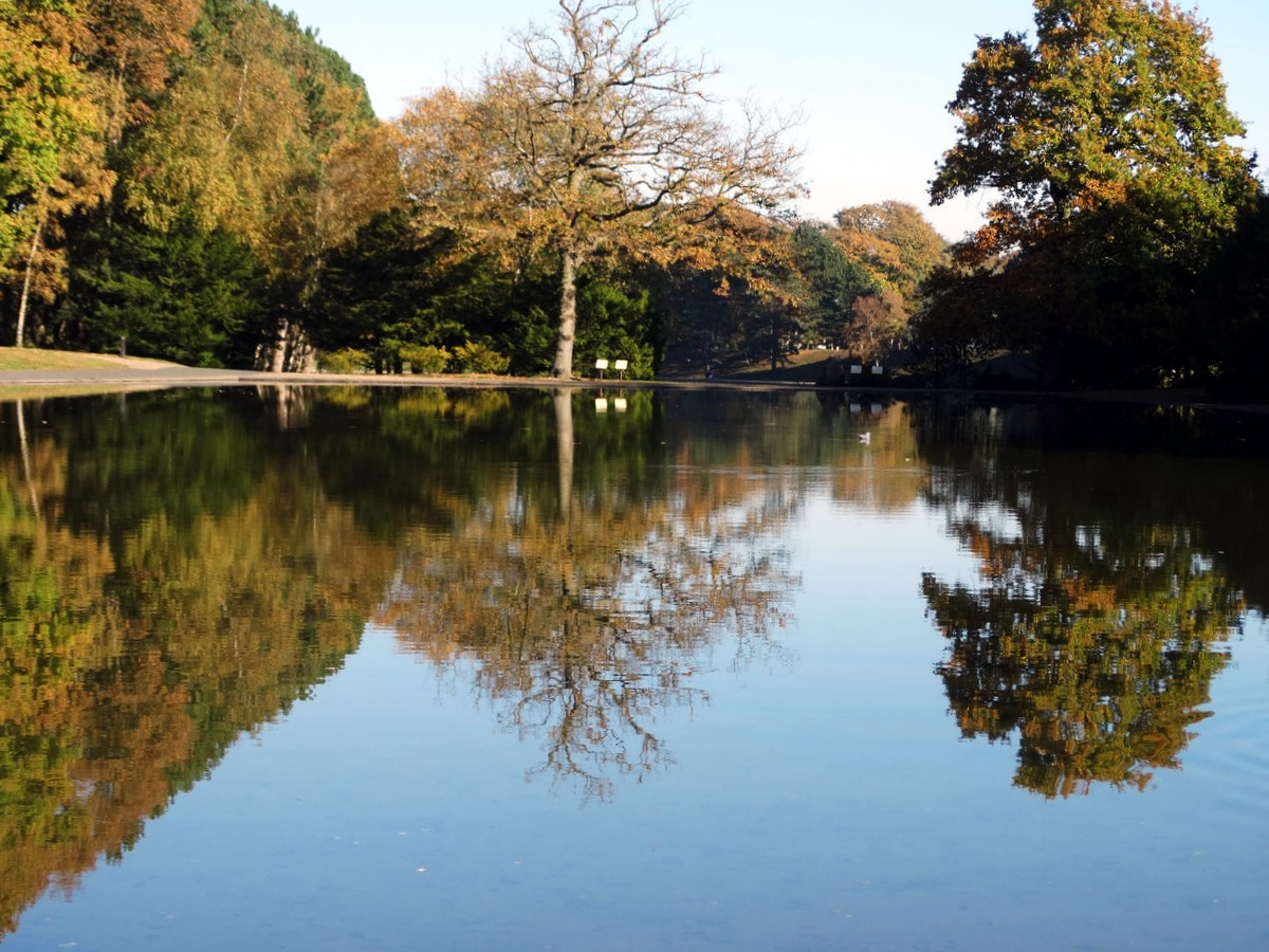  [ ouvert à tous ] Effet miroir 1501358312