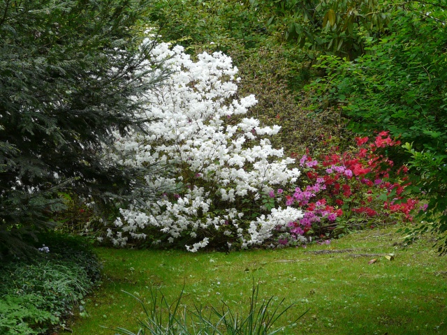 la maison de Claude MONET et ses jardins a Giverny(27) 151202062