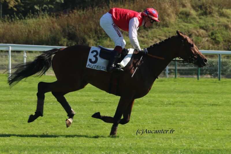 Photos Auteuil 24-09-2016 1565085J6A6917