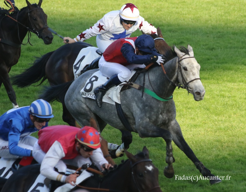 Photos Auteuil 9-10-2016 1595155J6A8110