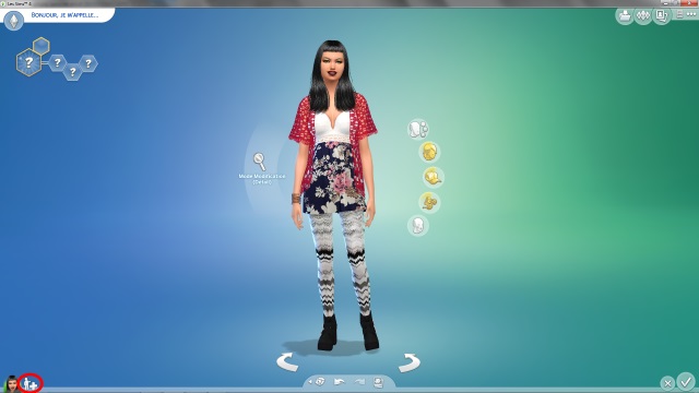 [Débutant] Supprimer facilement du jeu le contenu personnalisé dont on ne veut pas grâce à Sims 4 Tray Importer 162826Post3image5