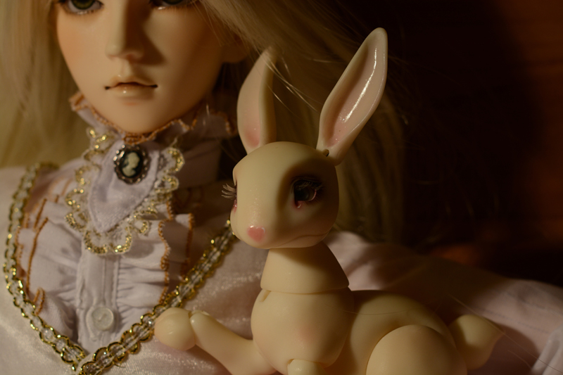 ~Nouvelles photos Lianaël [MD Shion] Et Raphia NobleDolls~ 174746DSC09101