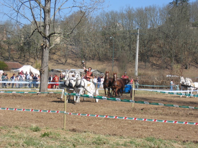 RESERVE DE FAUNE SAUVAGE 178023FoireBtaille2005021