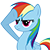 Rainbow Dash 182290rainbowdashsalutebyatomicgreymond3bo0dx