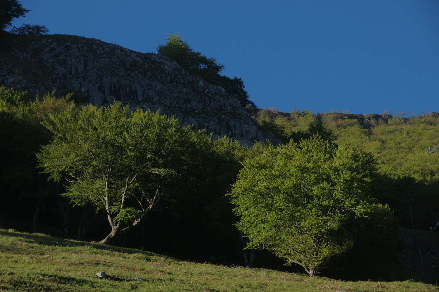 Une vie pyrénéenne de labrit des pyrénées - Page 20 18514839arreau243