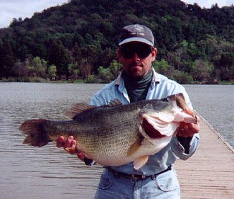 black bass record 185817936_1