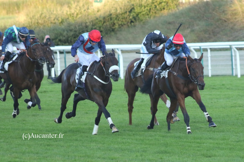 Photos Auteuil 9-10-2016 1863555J6A8233