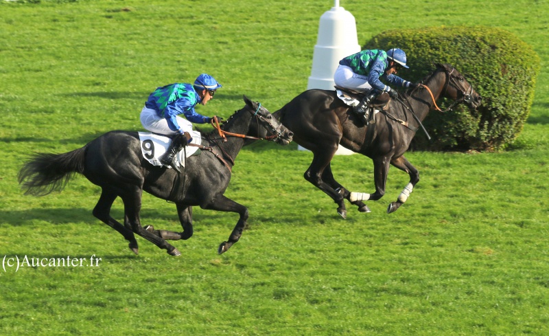 Photos Auteuil 9-10-2016 1866585J6A8052