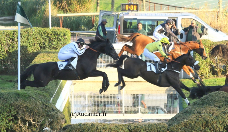 Photos Auteuil 9-10-2016 1894935J6A8204