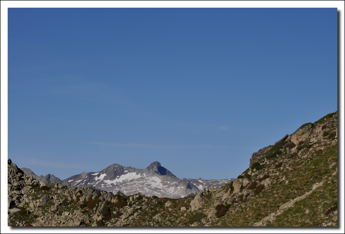 Une vie pyrénéenne de labrit des pyrénées - Page 6 190232cam0238