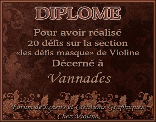 Mes Diplômes et Récompenses - Page 3 194633954060Vannades