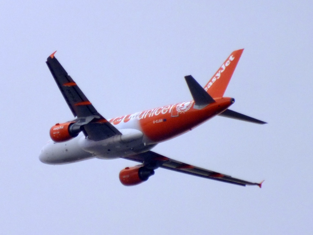 [22/01/2014] Airbus A319 (G-EJAR) EasyJet: Unicef c/s 195811Janviern5010