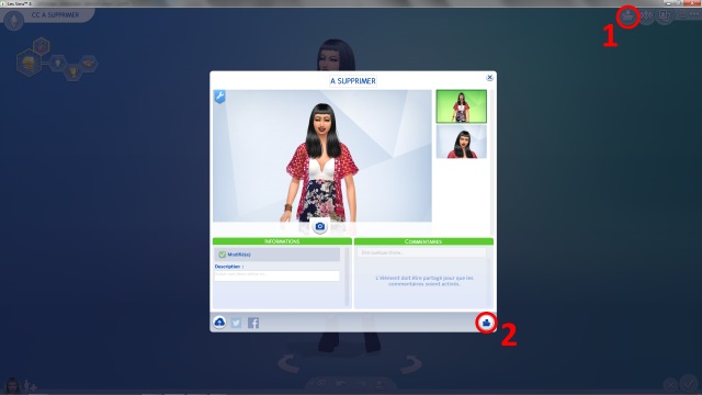 [Débutant] Supprimer facilement du jeu le contenu personnalisé dont on ne veut pas grâce à Sims 4 Tray Importer 196512Post4image1