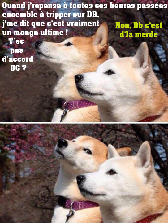 Débat Manga Z - Page 2 200222lol