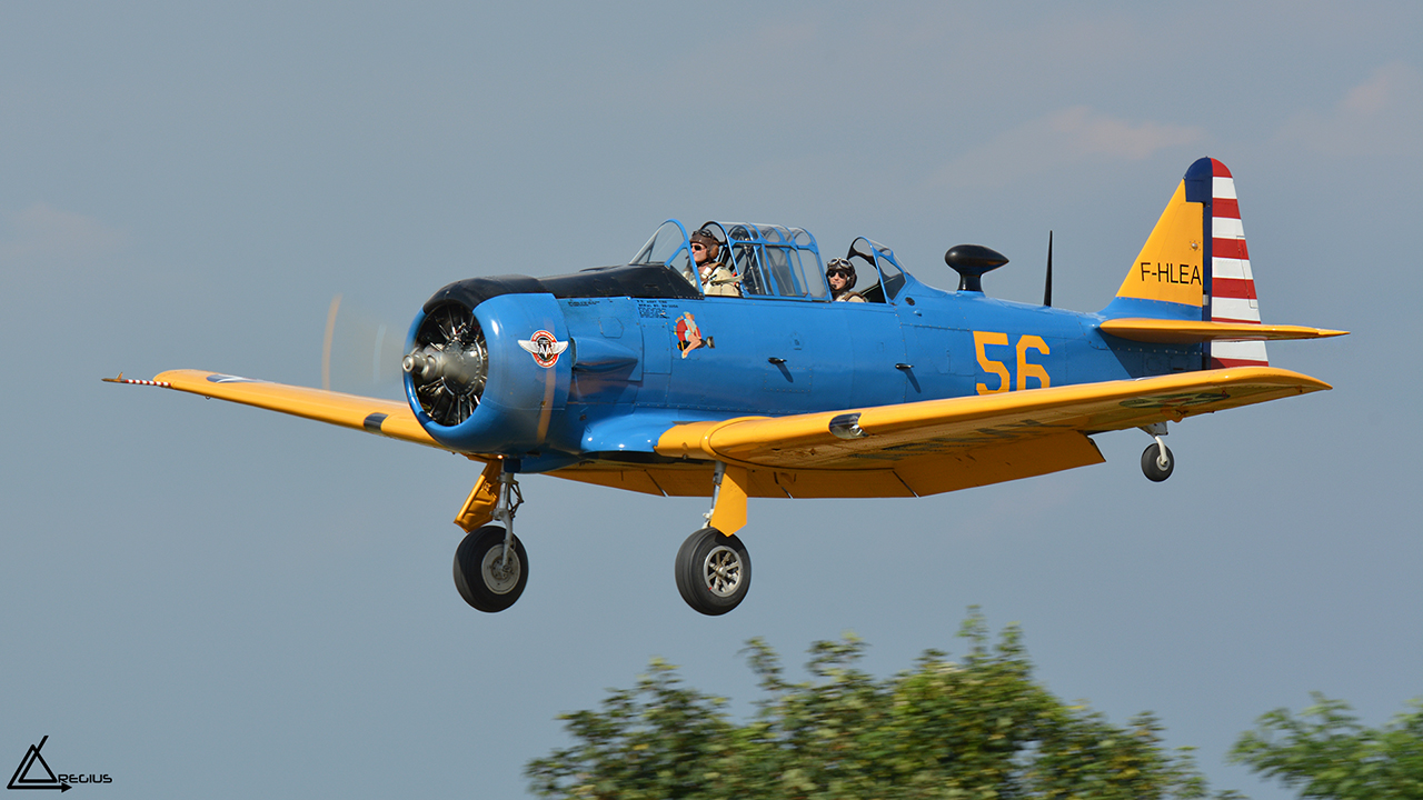 Aérodrome de La Ferté Alais - Page 13 2003541280DSC8095