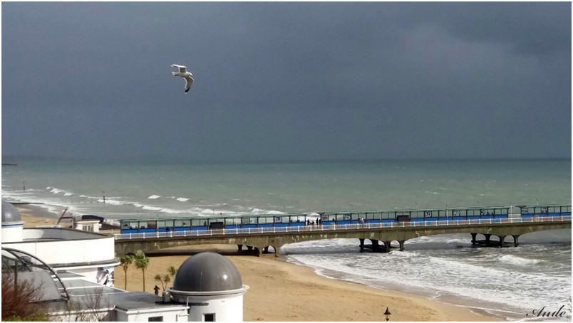 Un week-end à Bournemouth,côte sud de l'Angleterre. 203074aude90