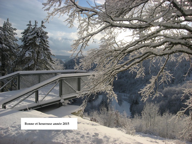 Bonne année 2015 à toutes et à tous sans oublier nos oranges 204017neige20102011ktmpetitesuisse4