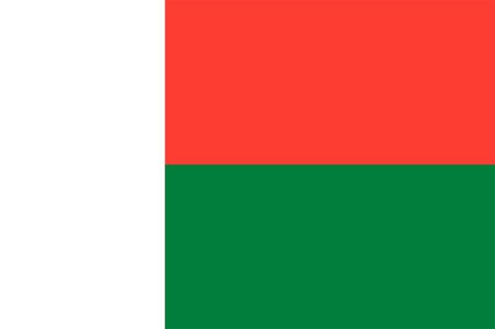 Les Drapeaux......... - Page 5 208193drapeaumadagascar