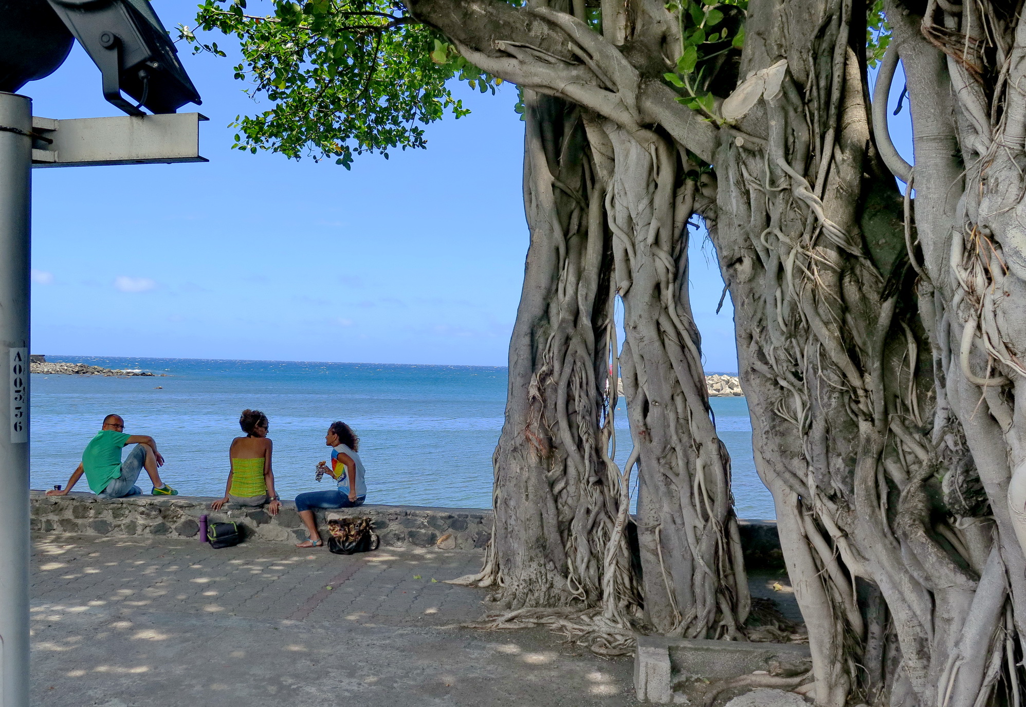  [Vie des ports] Les ports de la Réunion - Page 2 208534IMG0401