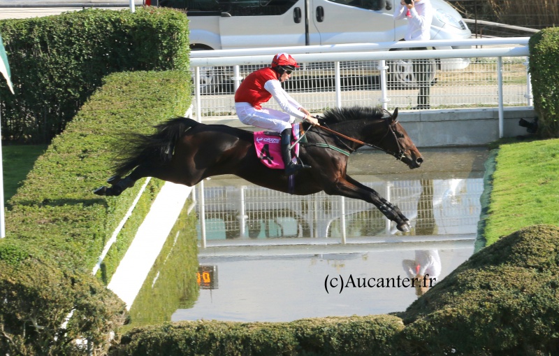 Photos Auteuil 9-10-2016 2104005J6A7770JPG