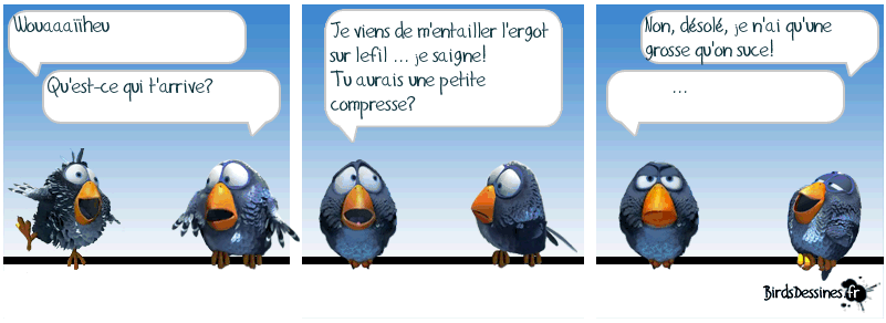 Les Birds Dessinés 210885464