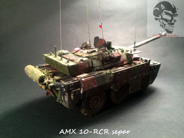 AMX 10 RCR SEPAR maquette Tiger Model 1/35 - Page 3 213243IMG3844