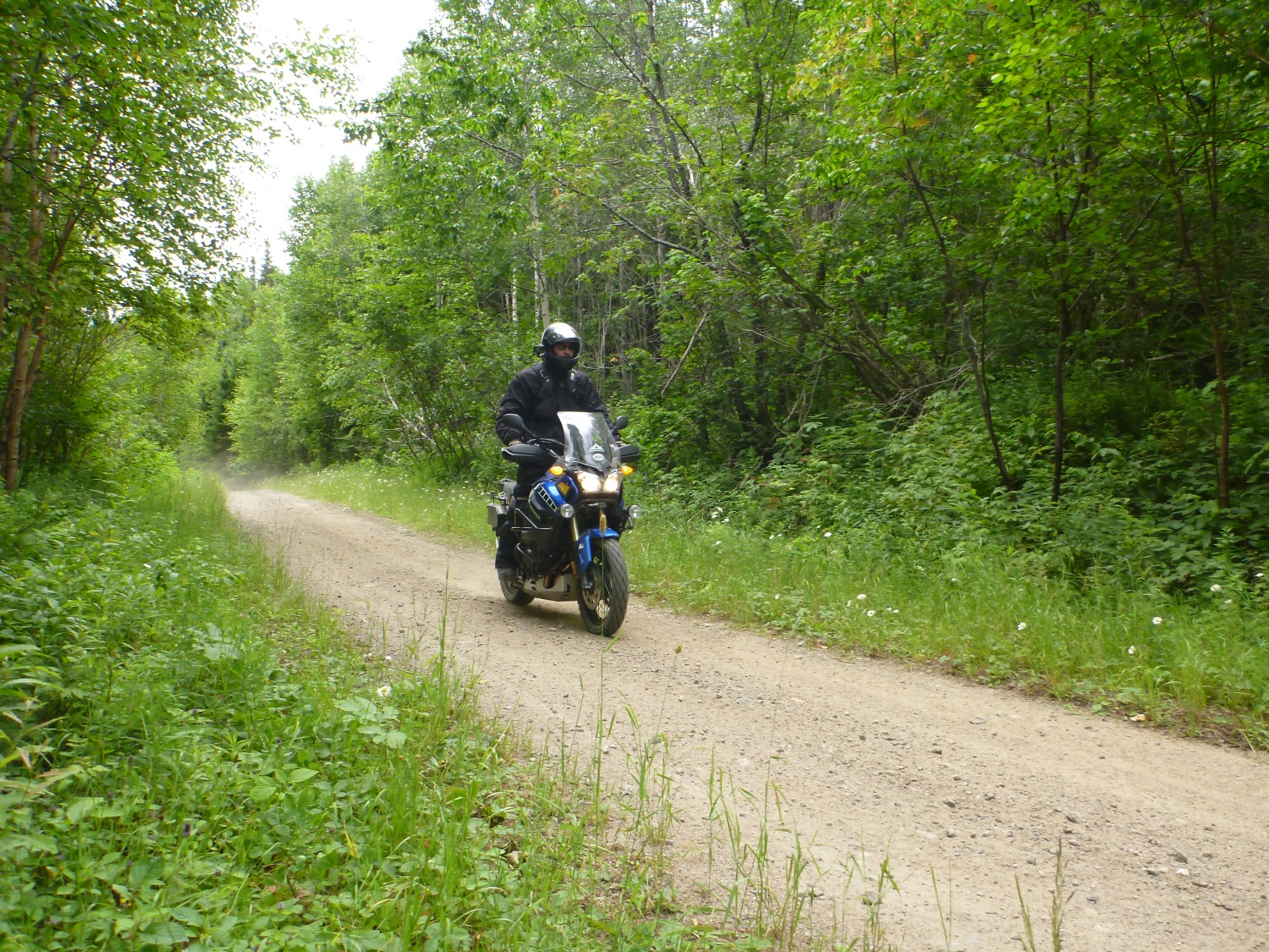 Nouveau du Québec !!! 216064P10407811