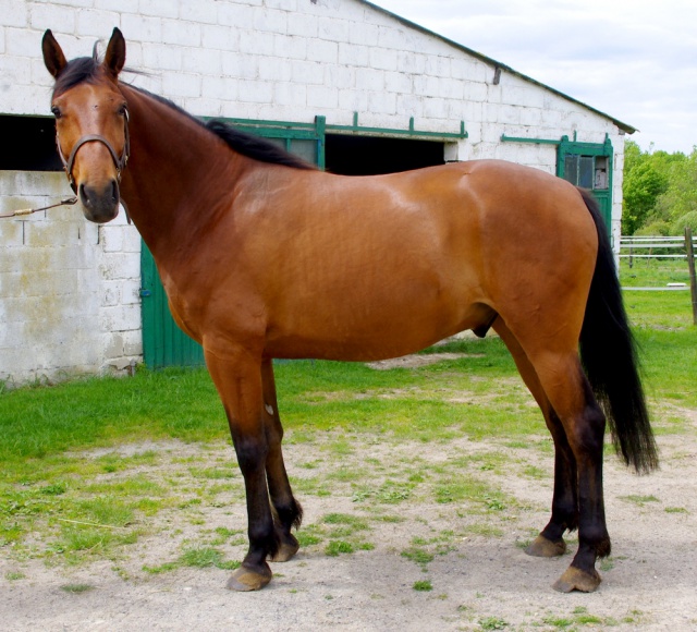 [PLACE CINDY] CARAMEL  Tendre... dur et collant à la fois ! 216234caramel6