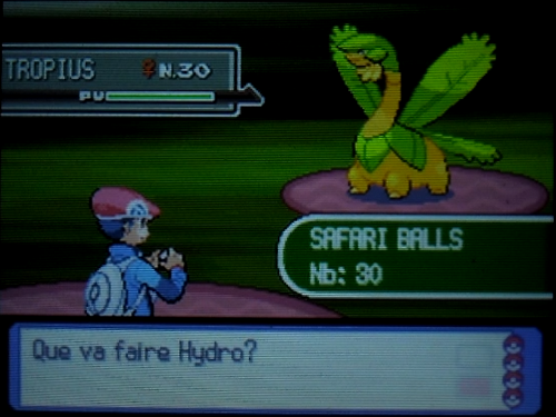 [ShinysHunters' Teams Cup n°8] Rapports et Classements   - Page 2 216330Tropius