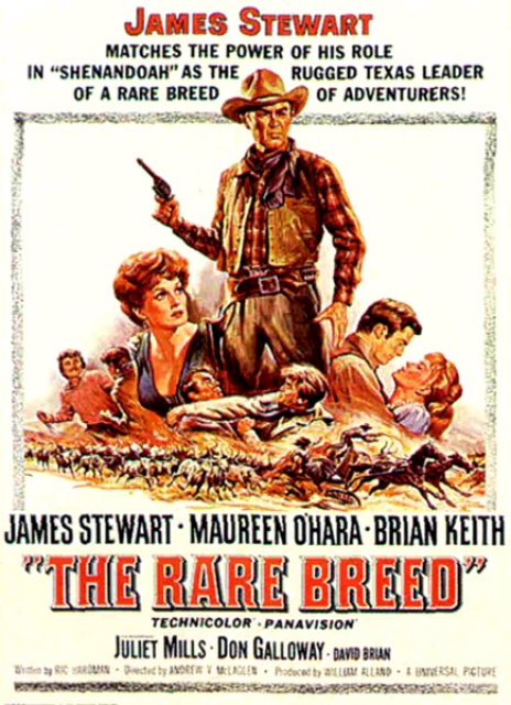 Rancho Bravo: 222368afficheRanchoBravoTheRareBreed19661