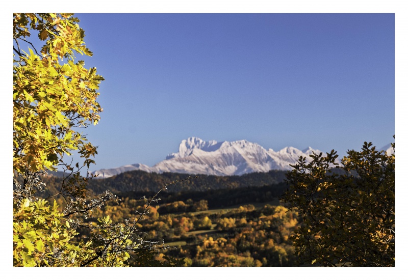 Vercors au Canada ? 223644AutomneenTrives2