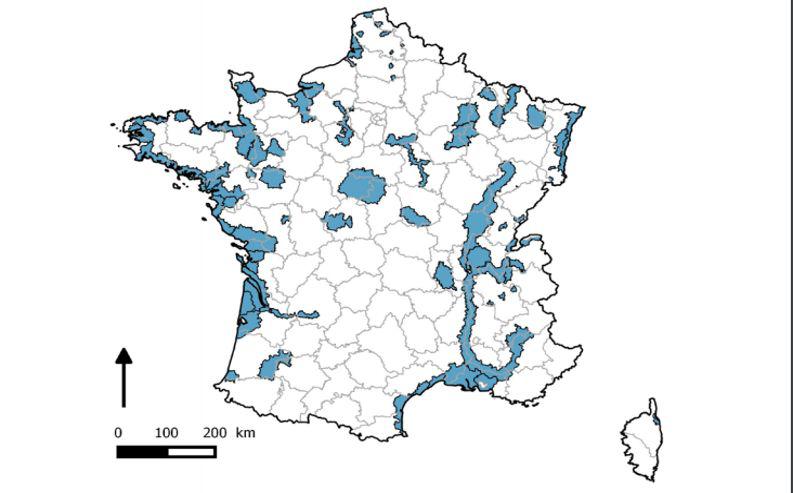 Retour de la grippe aviaire 224959grippeaviaire