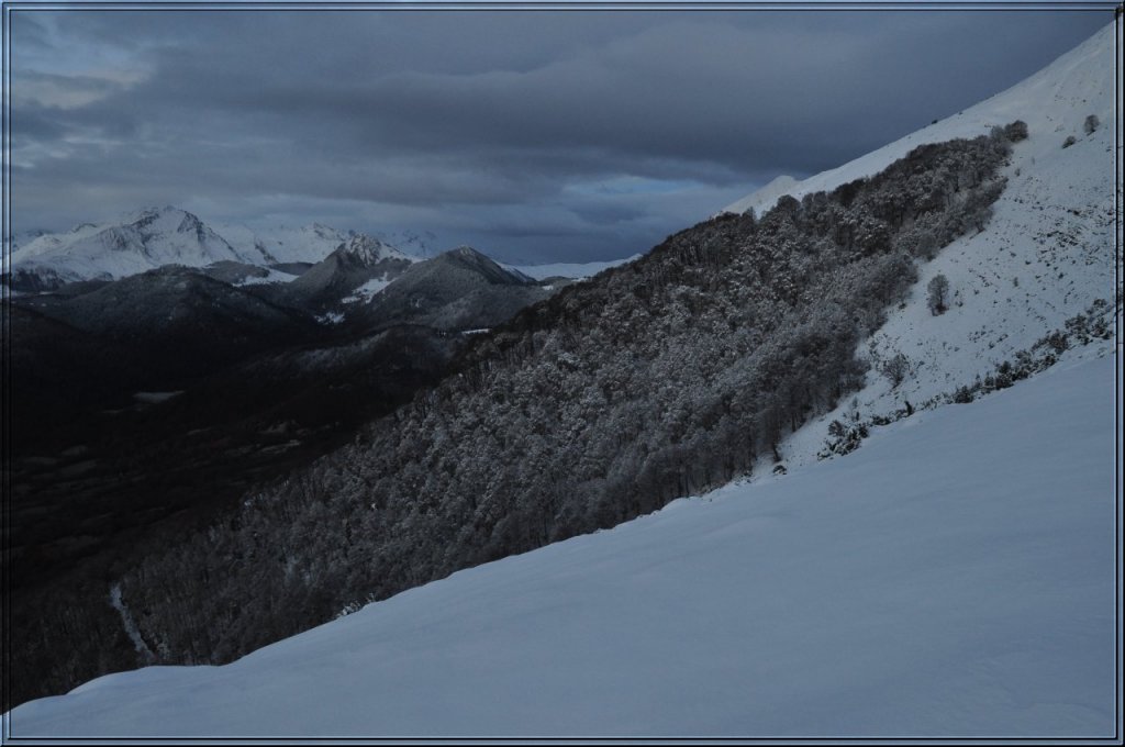 Une vie pyrénéenne de labrit des pyrénées - Page 2 225156cau0801jpg